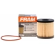 Purchase Top-Quality FRAM - TG10066 - OIL FILTER pa4