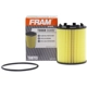 Purchase Top-Quality FRAM - TG9713 - OIL FILTER pa5