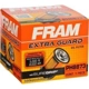 Purchase Top-Quality Filtre à l'huile par FRAM - PH8873 pa4