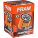 Purchase Top-Quality FRAM - PH9100 - Oil Filter pa5