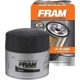 Purchase Top-Quality FRAM - TG16 - Oil Filter pa4