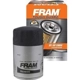 Purchase Top-Quality FRAM - TG3600 - Oil Filter pa4