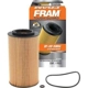 Purchase Top-Quality Filtre à l'huile par FRAM - TG9999 pa4