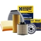 Purchase Top-Quality HENGST FILTER - E217H-D310 - Oil Filter pa2