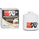 Purchase Top-Quality K & N ENGINEERING - HP1008 - 
 Oil Filter pa26