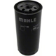 Purchase Top-Quality Oil Filter by MAHLE ORIGINAL - OC213 pa4