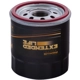 Purchase Top-Quality PREMIUM GUARD - PG4476EX - Oil Filter pa2