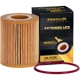 Purchase Top-Quality PREMIUM GUARD - PG99231EX - Oil Filter pa5