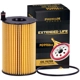 Purchase Top-Quality PREMIUM GUARD - PG9986EX - Engine Oil Filter pa4