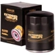 Purchase Top-Quality Oil Filter by PREMIUM GUARD - PG195EX pa10