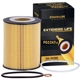 Purchase Top-Quality Oil Filter by PREMIUM GUARD - PG5247EX pa19