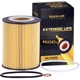 Purchase Top-Quality Oil Filter by PREMIUM GUARD - PG5247EX pa20