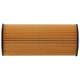 Purchase Top-Quality PRONTO FILTERS - PO5598EX - Engine Oil Filter pa3