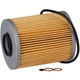 Purchase Top-Quality PRONTO FILTERS - PO5690EX - Engine Oil Filter pa6