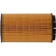 Purchase Top-Quality PRONTO FILTERS - PO5890 - Oil Filter pa5