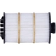 Purchase Top-Quality PRONTO FILTERS - PO9981EX - Engine Oil Filter pa4