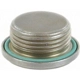 Purchase Top-Quality Oil Galley Plug by CRP/REIN - HWP0065 pa3