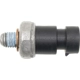 Purchase Top-Quality Oil Pressure Sender or Switch For Gauge by BLUE STREAK (HYGRADE MOTOR) - PS402 pa1