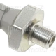 Purchase Top-Quality Oil Pressure Sender or Switch For Gauge by BLUE STREAK (HYGRADE MOTOR) - PS491 pa2