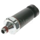 Purchase Top-Quality Oil Pressure Sender or Switch For Gauge by BLUE STREAK (HYGRADE MOTOR) - PS236 pa3