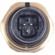 Purchase Top-Quality Oil Pressure Sender or Switch For Gauge by BLUE STREAK (HYGRADE MOTOR) - PS309 pa11