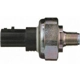Purchase Top-Quality Oil Pressure Sender or Switch For Gauge by BLUE STREAK (HYGRADE MOTOR) - PS686 pa14