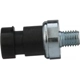 Purchase Top-Quality Oil Pressure Sender or Switch For Gauge by BWD AUTOMOTIVE - S4156 pa3
