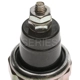Purchase Top-Quality Oil Pressure Sender or Switch For Gauge by STANDARD/T-SERIES - PS138T pa4