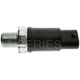 Purchase Top-Quality Oil Pressure Sender or Switch For Gauge by STANDARD/T-SERIES - PS244T pa12