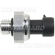 Purchase Top-Quality Oil Pressure Sender or Switch For Gauge by STANDARD/T-SERIES - PS425T pa5