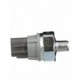 Purchase Top-Quality Oil Pressure Sender or Switch For Gauge by STANDARD/T-SERIES - PS445T pa8