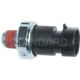 Purchase Top-Quality Oil Pressure Sender or Switch For Light by BLUE STREAK (HYGRADE MOTOR) - PS220 pa2
