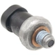 Purchase Top-Quality Oil Pressure Sender or Switch For Light by BLUE STREAK (HYGRADE MOTOR) - PS402 pa1