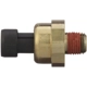 Purchase Top-Quality BWD AUTOMOTIVE - S4201 - Engine Oil Pressure Switch pa1