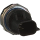 Purchase Top-Quality STANDARD - PRO SERIES - PS533 - Oil Pressure Sender pa6