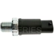 Purchase Top-Quality Oil Pressure Sender or Switch For Light by STANDARD/T-SERIES - PS244T pa7