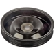 Purchase Top-Quality DORMAN - 300020 - Power Steering Pump Pulley pa1