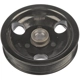 Purchase Top-Quality DORMAN - 300-319 - Power Steering Pump Pulley pa1