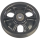 Purchase Top-Quality Original Equipment Power Steering Pump Pulley by DORMAN (OE SOLUTIONS) - 300-101 pa6