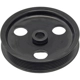 Purchase Top-Quality DORMAN (OE SOLUTIONS) - 300-310 - Original Equipment Power Steering Pump Pulley pa2