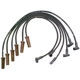 Purchase Top-Quality Original Equipment Replacement Ignition Wire Set by DENSO - 671-6031 pa1