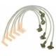 Purchase Top-Quality Original Equipment Replacement Ignition Wire Set by DENSO - 671-6079 pa1