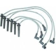 Purchase Top-Quality Original Equipment Replacement Ignition Wire Set by DENSO - 671-6116 pa1