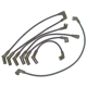 Purchase Top-Quality Original Equipment Replacement Ignition Wire Set by DENSO - 671-6186 pa1