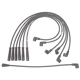 Purchase Top-Quality Original Equipment Replacement Ignition Wire Set by DENSO - 671-6193 pa1