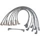 Purchase Top-Quality Original Equipment Replacement Ignition Wire Set by DENSO - 671-8020 pa1