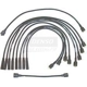 Purchase Top-Quality Original Equipment Replacement Ignition Wire Set by DENSO - 671-8123 pa2
