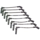 Purchase Top-Quality Original Equipment Replacement Ignition Wire Set by DENSO - 671-8160 pa1