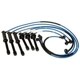 Purchase Top-Quality Original Equipment Replacement Ignition Wire Set by NGK CANADA - 8163 pa1