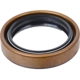 Purchase Top-Quality Output Shaft Seal by SKF - 17502 pa3